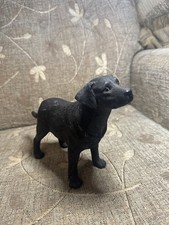 Black labrador dog for sale  BALLYMONEY