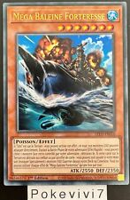 Carte mega baleine d'occasion  Valognes