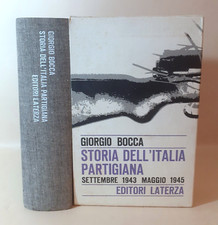 Storia dell italia usato  Villanova del Ghebbo