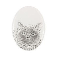 British shorthair pierre d'occasion  Expédié en France