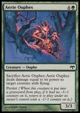 Aerie ouphes for sale  NOTTINGHAM