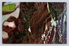 Qantas terraced rice for sale  BRIGHTON
