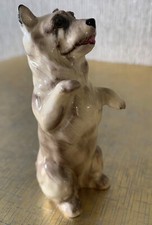 Royal doulton dog for sale  DERBY