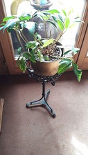 Antiker blumenständer eisen gebraucht kaufen  Koblenz