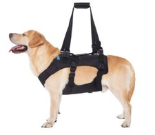 Yrenoer dog lift for sale  Eunice