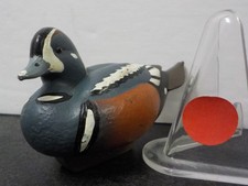 G827 2011 ducks for sale  Phoenix