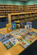 books early 25 readers for sale books early 25 readers for sale Winter Park