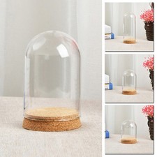 Glass dome cover d'occasion  Expédié en Belgium