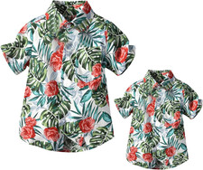 Camicie hawaiane famiglia usato  Roma