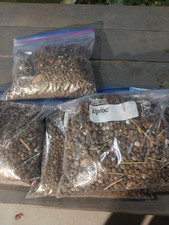 Bunny poop for sale  Miami