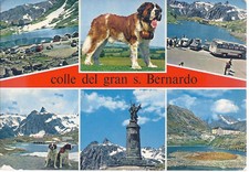 Colle del gran usato  Monza