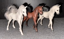 1988 marchon foals for sale  Annville