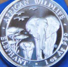 Elephant african wildlife gebraucht kaufen  Bodenkirchen