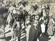 Caravane chameaux jaffa d'occasion  Paris V
