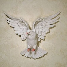 Windborne flight dove for sale  USA