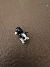 boston puppies terrier for sale  Gordonsville