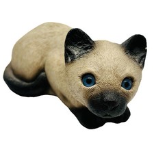 Sandicast siamese cat for sale  Noblesville