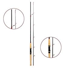 Spinnrute angelrute 60g gebraucht kaufen  Landstuhl