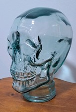 Glass skull display for sale  WARE