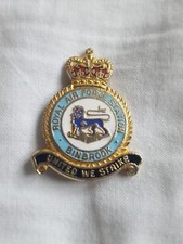 Raf squadron raf for sale  SELKIRK