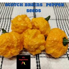 Yellow scotch brain for sale  Littleton