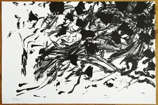 Günther uecker lithographie gebraucht kaufen  Deggendorf