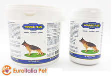Winner plus plus usato  Torrita Tiberina