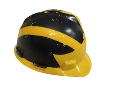 Michigan wolverines ncaa for sale  Novi