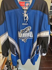 Idaho steelheads echl for sale  Omaha