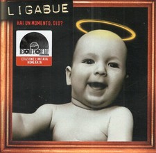Ligabue hai momento usato  Biella