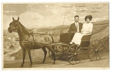 horse drawn cart for sale  Mendham