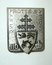 Insigne 110 regiment d'occasion  Senozan