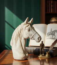 Buste tête cheval d'occasion  Toulouse-