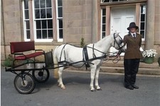 Pony exercise cart for sale  BATHGATE