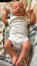 Reborn baby dolls for sale  LEIGH