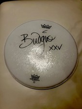 Signed budgie siouxsie for sale  TYN-Y-GONGL