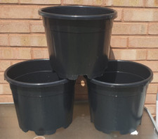 Set large plant for sale  WOLVERHAMPTON