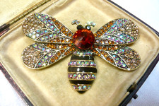 Large butterfly moth for sale  OLNEY
