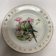 Antique vintage parakeets for sale  East Islip