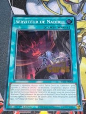 Carte serviteur nadir d'occasion  Bruay-la-Buissière