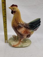 White medium hen for sale  Hubertus