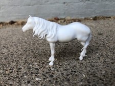 Quarter horse dun for sale  Reno