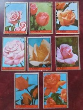 1972 ajman roses for sale  BRIDLINGTON