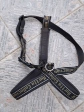 Hurtta casual hunde gebraucht kaufen  Obernburg a.Main