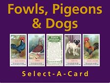 Ogden fowls pigeons for sale  KEIGHLEY