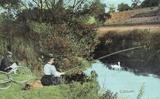Fishing cobham posted for sale  BRIGG
