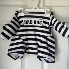 Prisoner dog pet for sale  Bell