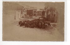lanusei usato lanusei usato Bergamo