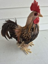 Vintage chicken standing for sale  Marshfield