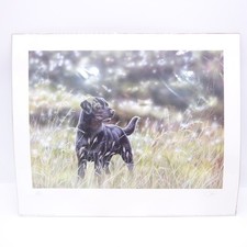 Black velvet limited for sale  BRISTOL
